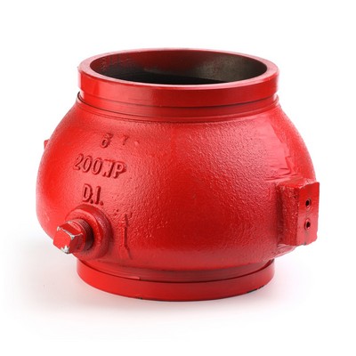 Grooved Double Door Swing Check Valve