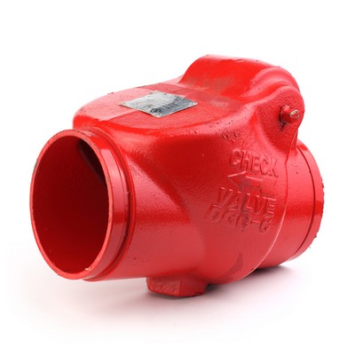 Grooved Swing Check Valve